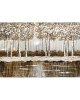 Silver Forest - Brushed Aluminum Art